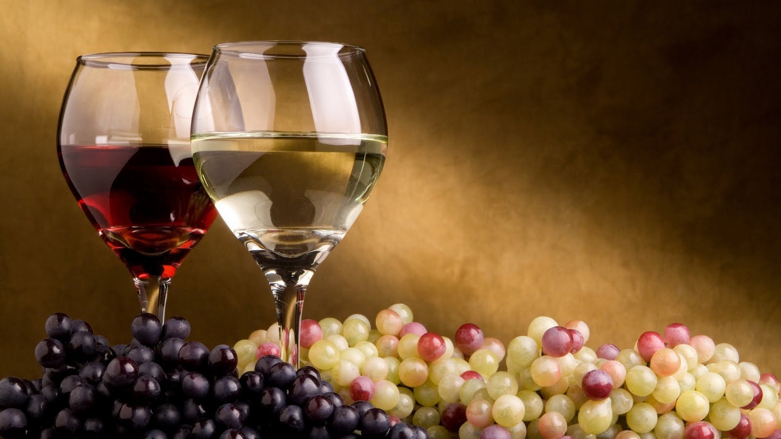 wine tasting cabernet