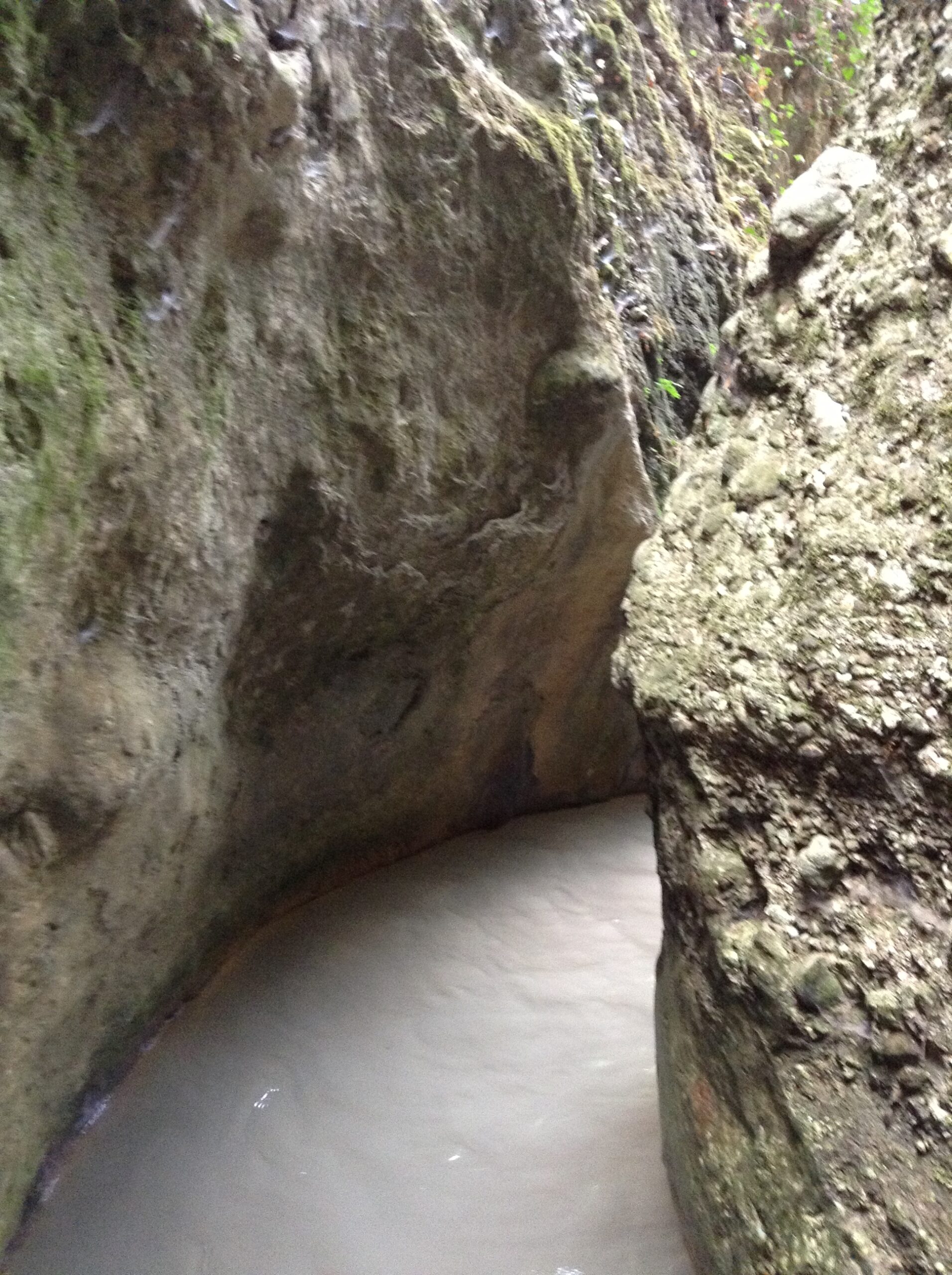 Peristeria Gorge with stalagmites1