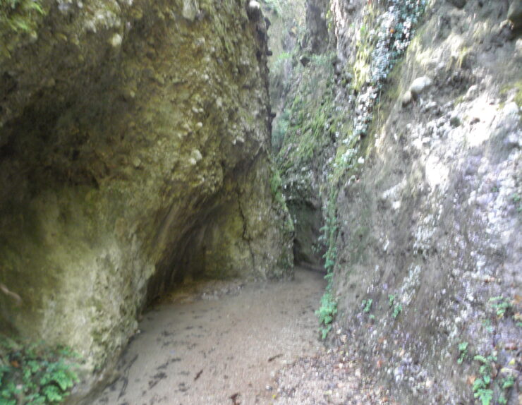 Peristeria Gorge with stalagmites2